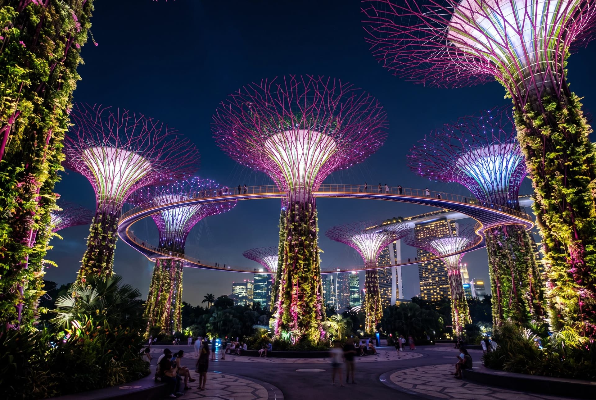 The Supertree Grove at Gardens by the Bay at night